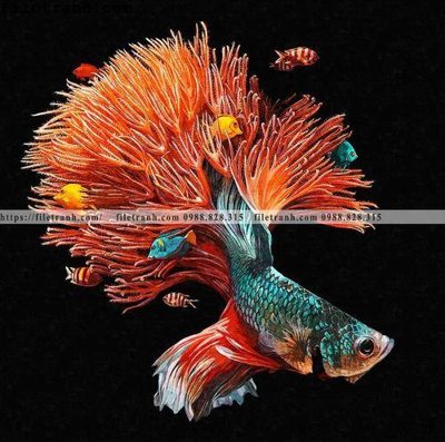 Download file tranh ca vang mau sac sang trong nhe nhang 125 (file gốc PSD)