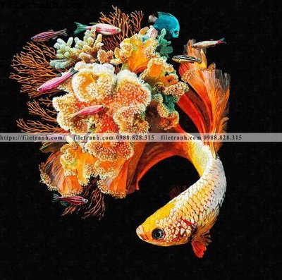 File ảnh ca vang mau sac sang trong nhe nhang 127 (gốc) in Hiflex