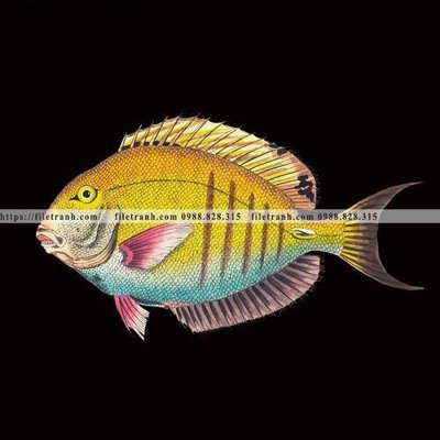 File gốc ca vang mau sac sang trong nhe nhang 161 (cho in ấn) độc quyền