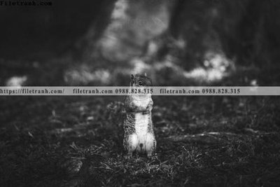 File tranh can canh chup anh dong vat den trang 220 (gốc) chủ đề con người