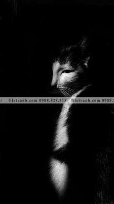 Download file gốc can canh chup anh dong vat den trang 235 (in lụa) hoa lá