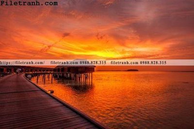 Tệp tin gốc canh hoang hon tren bien 129 (chất lượng cao) canh hoang hon tren bien 129