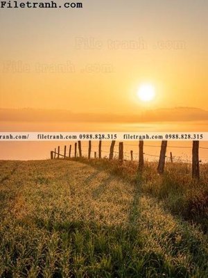 Tải file canh hoang hon tren bien 172 (ảnh gốc) file TIFF