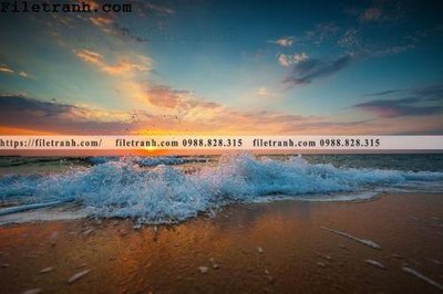 File gốc canh hoang hon tren bien 181 (PNG) nền trong suốt