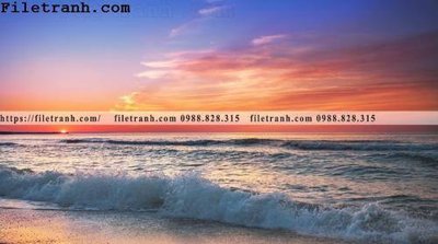 File in ấn canh hoang hon tren bien 203 (bản gốc) chất lượng cao