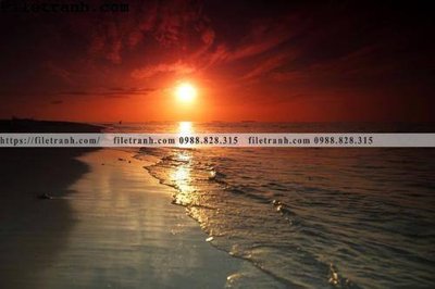 Download file gốc canh hoang hon tren bien 208 (in lụa) cao cấp
