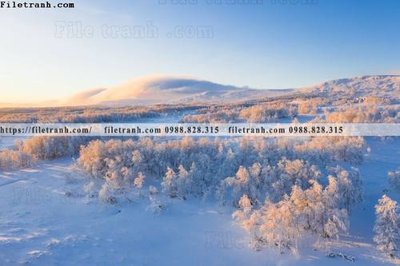 Download file canh tuyet tren dinh nui 516 (chuẩn in) canh tuyet tren dinh nui 516