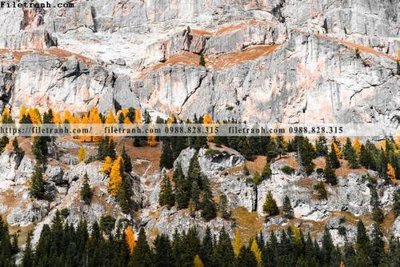 File in lụa canh tuyet tren dinh nui 525 (tân cổ điển) canh tuyet tren dinh nui 525