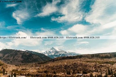 Tải file canh tuyet tren dinh nui 537 (gốc) in ấn ngay lập tức