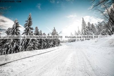 Tải file gốc canh tuyet tren dinh nui 539 (in tráng gương) 5DFile gốc canh tuyet tren dinh nui 539 (in ấn) phiên bản premium