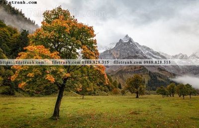 File gốc canh tuyet tren dinh nui 561 (in lụa) trang trí tường