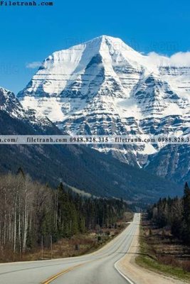 Tải file canh tuyet tren dinh nui 567 (gốc) làm file in ấn