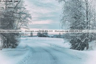 File gốc canh tuyet tren dinh nui 575 (PNG) nền trong suốt