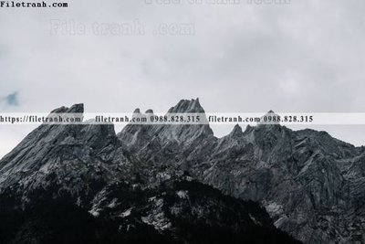 Tải về file tranh gốc canh tuyet tren dinh nui 585 (để in quảng cáo)