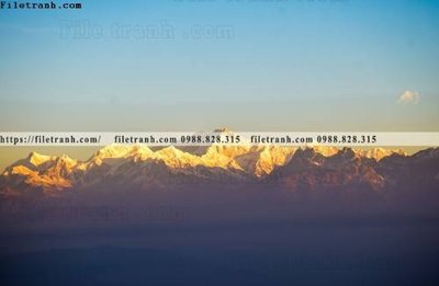 File gốc canh tuyet tren dinh nui 592 (in tráng gương) hiện đại