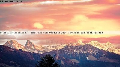 File gốc canh tuyet tren dinh nui 597 (in lụa) tranh thuận buồm