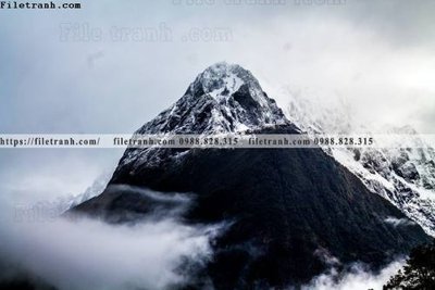 File gốc canh tuyet tren dinh nui 608 (cho in ấn) từ kho Filetranh