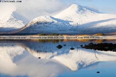 File tranh gốc canh tuyet tren dinh nui 617 chủ đề hiện đại