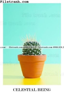 Mua file gốc cay xanh tuoi nho 136 (chất lượng) tại Filetranh.com