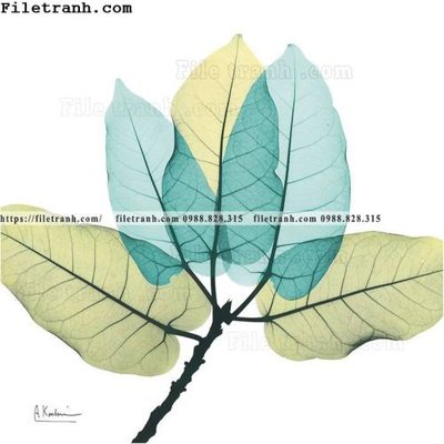 Tải file cay xanh tuoi nho 161 (ảnh gốc) in gạch 3D