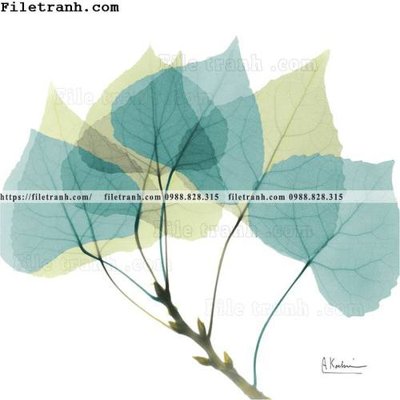 Ảnh mô tả file gốc in mica cay xanh tuoi nho 163