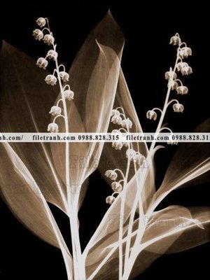 File gốc decor tranh bo tong hop 104 (ảnh chi tiết) để in trần