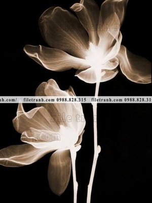 Ảnh gốc decor tranh bo tong hop 106 (độ nét cao) in mica