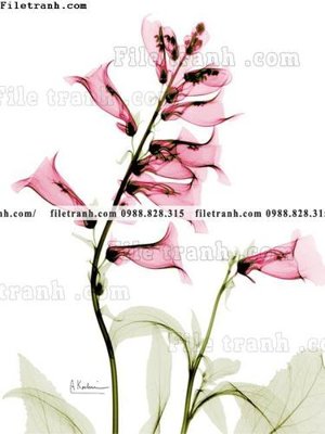 File gốc decor tranh bo tong hop 135 (in 3D) cho trang trí