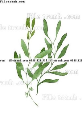 File ảnh decor tranh bo tong hop 186 (gốc) in PP, decal