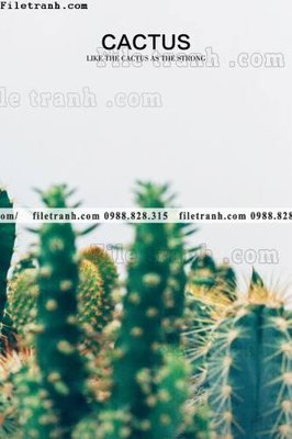 Tải file decor tranh bo tong hop 228 (PSD) cho in tranh kính