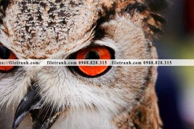 File gốc decor tranh bo tong hop 277 (in mica) trang trí