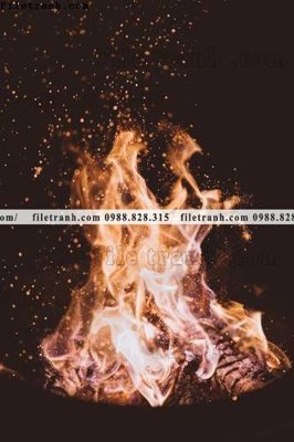 File ảnh decor tranh bo tong hop 284 (gốc) in decal dán tường