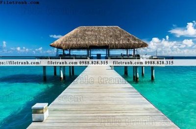 File in trần decor tranh bo tong hop 437 (bản gốc) 5D