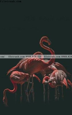 File in mica dong vat thien nhien su tu 507 (bản gốc) sắc sảo