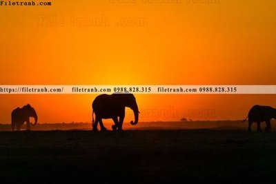 File gốc dong vat thien nhien su tu 518 (cho in 3D) độc đáo