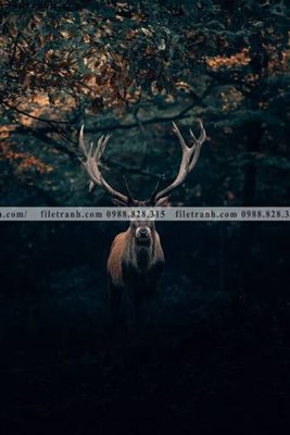 File gốc dong vat thien nhien su tu 545 (PNG) không nền chất lượng