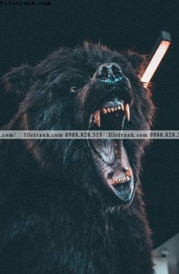 Tải file dong vat thien nhien su tu 552 (gốc) in ấn chất lượng