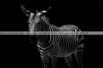 File gốc dong vat thien nhien su tu 585 (ảnh chi tiết) để in trần