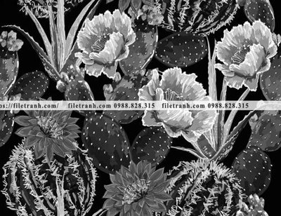 Tải file dong vat va hoa trang nha 228 (ảnh gốc) file TIFF