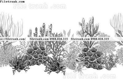 File ảnh dong vat va hoa trang nha 246 (gốc) in Hiflex