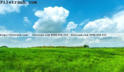 File gốc in ấn hinh anh chup anh dong co 104 chất lượng vượt trội