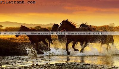 File tranh gốc hinh anh chup anh dong co 119 (sắc nét từng chi tiết)