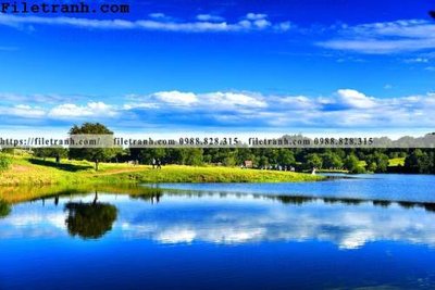 Cung cấp file tranh gốc hinh anh chup anh dong co 120 độc quyền