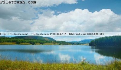 File in trần hinh anh chup anh dong co 125 (bản gốc) hoa văn