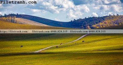 File in ấn hinh anh chup anh dong co 129 (bản gốc) cao cấp