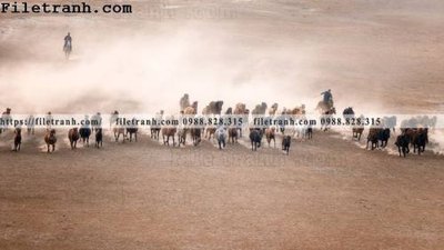 File tranh hinh anh chup anh dong co 130 (bản gốc) treo tường