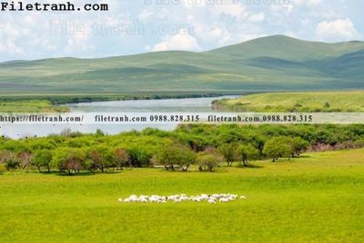 File PSD hinh anh chup anh dong co 133 (gốc) tách lớp chi tiết