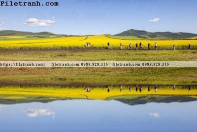 File gốc in mica hinh anh chup anh dong co 159 chất lượng