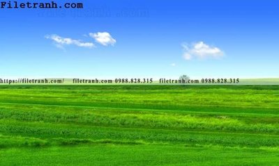 File gốc hinh anh chup anh dong co 173 (in tráng gương) nghệ thuật