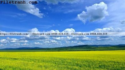 Download file hinh anh chup anh dong co 174 (gốc) cho xưởng in